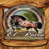 El Potro Mexican Cafe in Paola logo